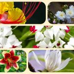 Dịch vụ mở quầy thuốc tại Cao Bằng 6 Muốn mở quầy thuốc tại Cao Bằng