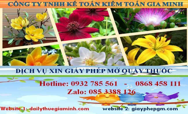 Dịch vụ mở quầy thuốc tại Đà Nẵng 4 Thủ tục mở quầy thuốc tại Đà Nẵng