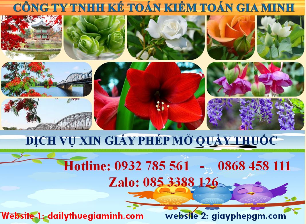 Dịch vụ mở quầy thuốc tại Hà Giang 4 thủ tục mở quầy thuốc tại Hà Giang