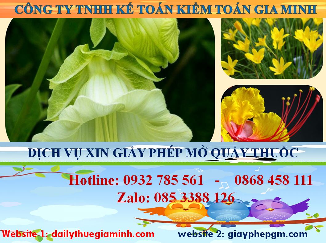 Dịch vụ mở quầy thuốc tại Hải Dương 4 thủ tục mở quầy thuốc tại Hải Dương
