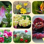 Dịch vụ mở quầy thuốc tại Hải Dương 6 muốn mở quầy thuốc tại Hải Dương