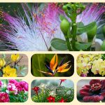 Dịch vụ mở quầy thuốc tại Hòa Bình 6 muốn mở quầy thuốc tại Hòa Bình