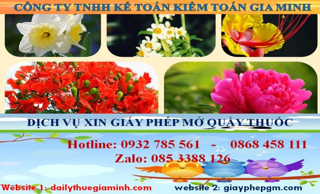 Dịch vụ mở quầy thuốc tại Hòa Bình 4 thủ tục mở quầy thuốc tại Hòa Bình