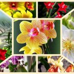 Dịch vụ mở quầy thuốc tại Hưng Yên 6 Muốn mở quầy thuốc tại Hưng Yên