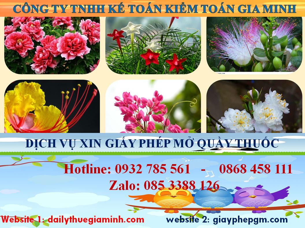 Dịch vụ mở quầy thuốc tại Kiên Giang 4 Thủ tục mở quầy thuốc tại Kiên Giang