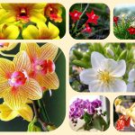 Dịch vụ mở quầy thuốc tại Kiên Giang 6 Muốn mở quầy thuốc tại Kiên Giang