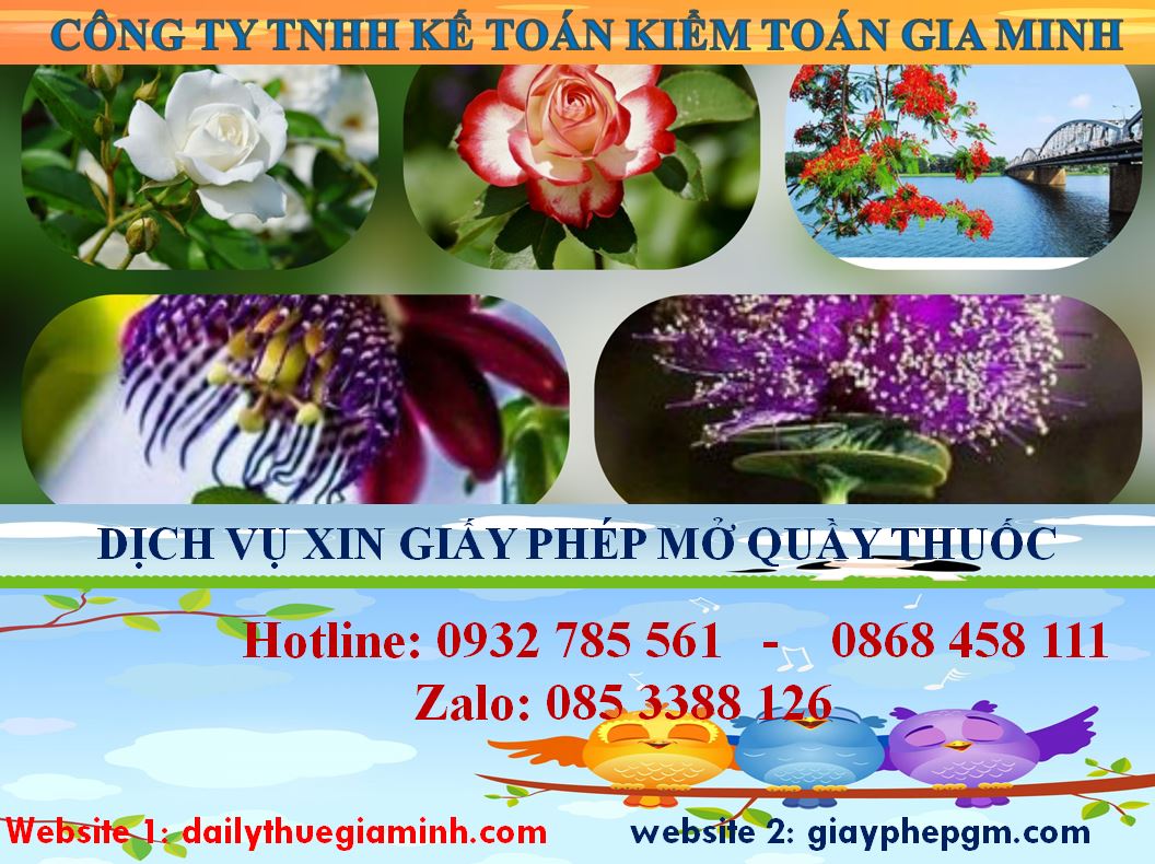 Dịch vụ mở quầy thuốc tại Lai Châu 4 thủ tục mở quầy thuốc tại Lai Châu
