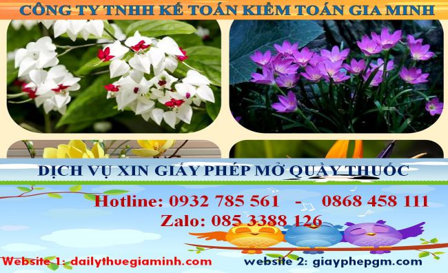 Dịch vụ mở quầy thuốc tại Ninh Thuận 4 thủ tục mở quầy thuốc tại Ninh Thuận