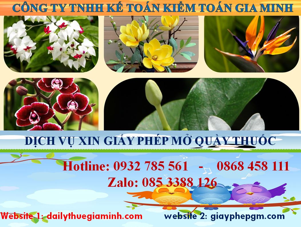 Dịch vụ mở quầy thuốc tại Phú Thọ 4 thủ tục mở quầy thuốc tại Phú Thọ