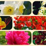 Dịch vụ mở quầy thuốc tại Quảng Trị 6 muốn mở quầy thuốc tại Quảng Trị