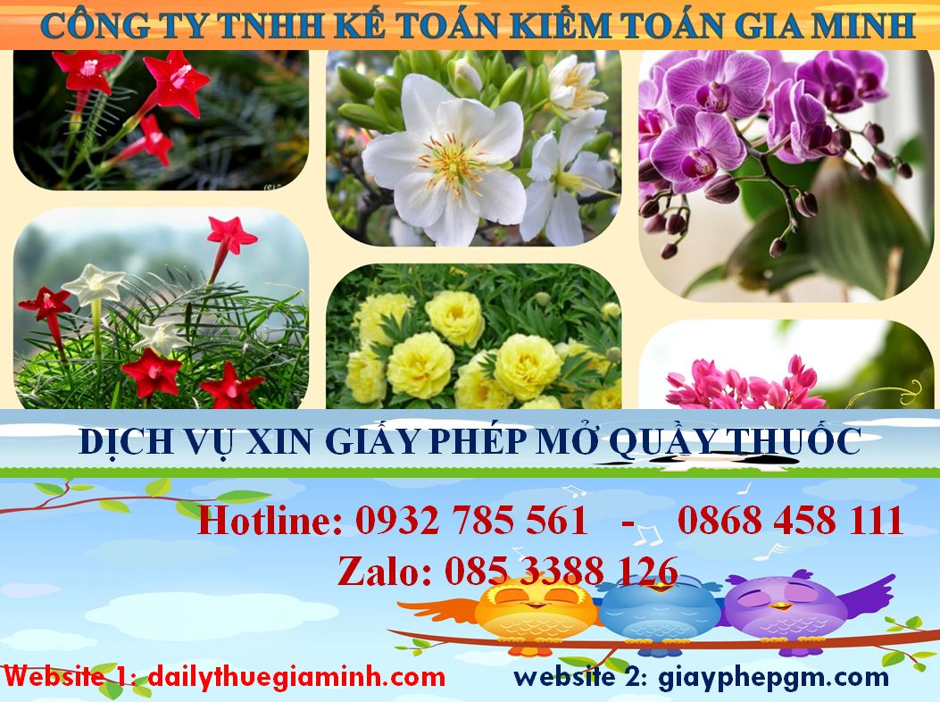 Dịch vụ mở quầy thuốc tại Quảng Trị 4 thủ tục mở quầy thuốc tại Quảng Trị