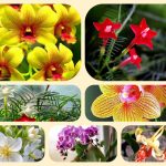 Dịch vụ mở quầy thuốc tại Thái Nguyên 6 muốn mở quầy thuốc tại Thái Nguyên