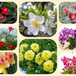 Dịch vụ mở quầy thuốc tại Tuyên Quang 6 muốn mở quầy thuốc tại Tuyên Quang