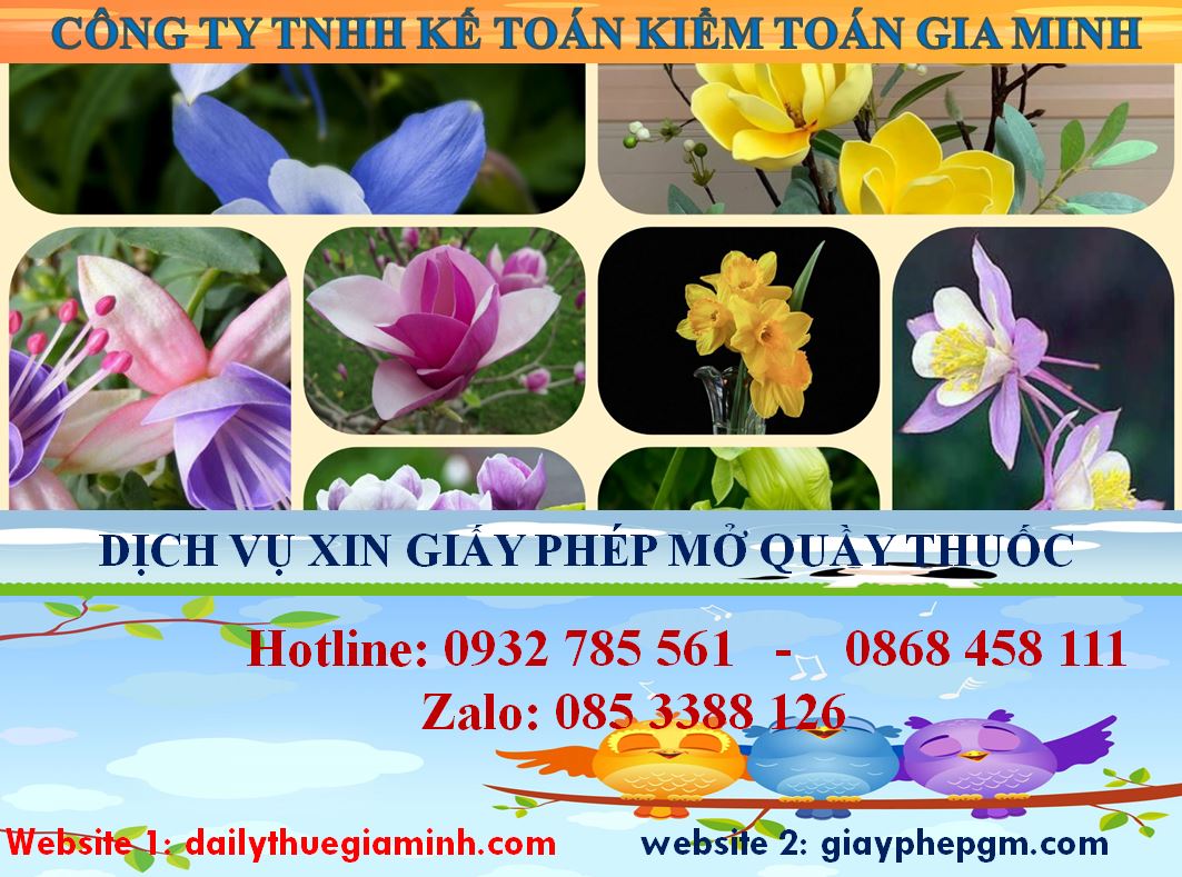 Dịch vụ mở quầy thuốc tại Tuyên Quang 4 Thủ tục mở quầy thuốc tại Tuyên Quang