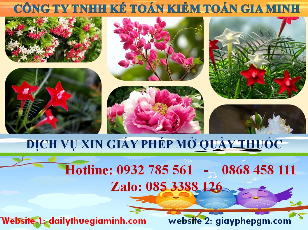 Dịch vụ mở quầy thuốc tại Vĩnh Phúc 4 Thủ tục mở quầy thuốc tại Vĩnh Phúc