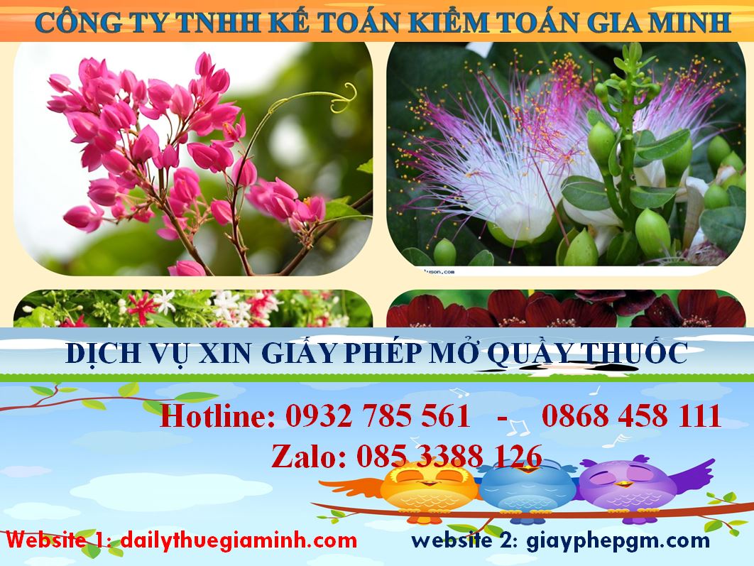 Dịch vụ mở quầy thuốc tại Yên Bái 4 Dịch vụ mở quầy thuốc tại Yên Bái