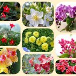 Dịch vụ mở quầy thuốc tại Yên Bái 6 Muốn mở quầy thuốc tại Yên Bái