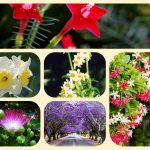 Dịch vụ mở quầy thuốc tại Bắc Giang 6 Muốn mở quầy thuốc tại Bắc Giang