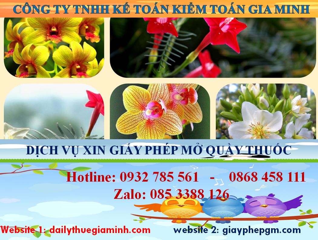 Dịch vụ mở quầy thuốc tại Bắc Kạn - Giải pháp tối ưu cho bạn 4 Dịch vụ mở quầy thuốc tại Bắc Kạn