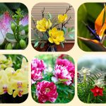 Dịch vụ mở quầy thuốc tại Huyện Bình Chánh 6 Muốn mở quầy thuốc tại Huyện Bình Chánh