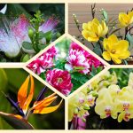 Dịch vụ mở quầy thuốc tại Huyện Củ Chi 6 Muốn mở quầy thuốc tại Huyện Củ Chi