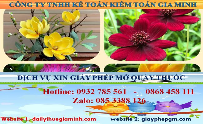Dịch vụ mở quầy thuốc tại Huyện Củ Chi 4 Dịch vụ mở quầy thuốc tại Huyện Củ Chi