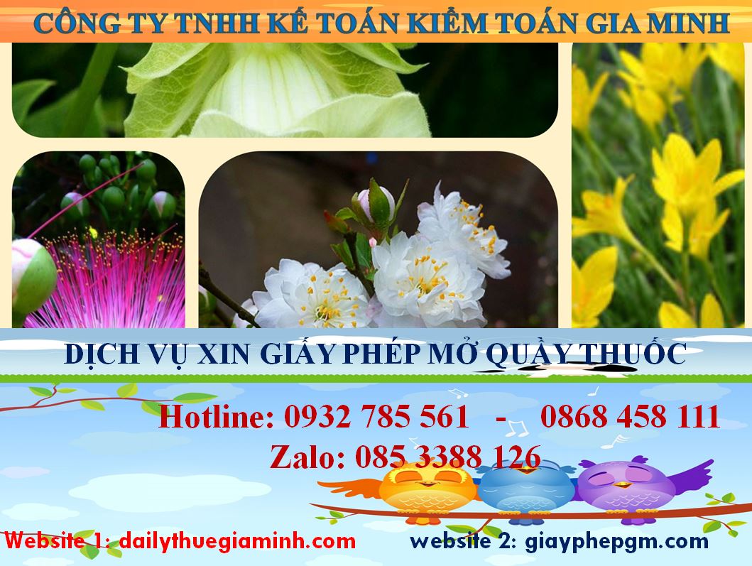 Dịch vụ mở quầy thuốc tại Huyện Dầu Tiếng 4 Dịch vụ mở quầy thuốc tại Huyện Dầu Tiếng