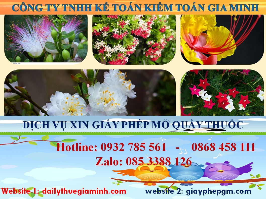 Dịch vụ mở quầy thuốc tại Huyện Phú Giáo 4 Dịch vụ mở quầy thuốc tại Huyện Phú Giáo