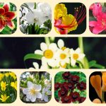 Dịch vụ mở quầy thuốc tại Huyện Từ Liêm 6 Muốn mở quầy thuốc tại Huyện Từ Liêm
