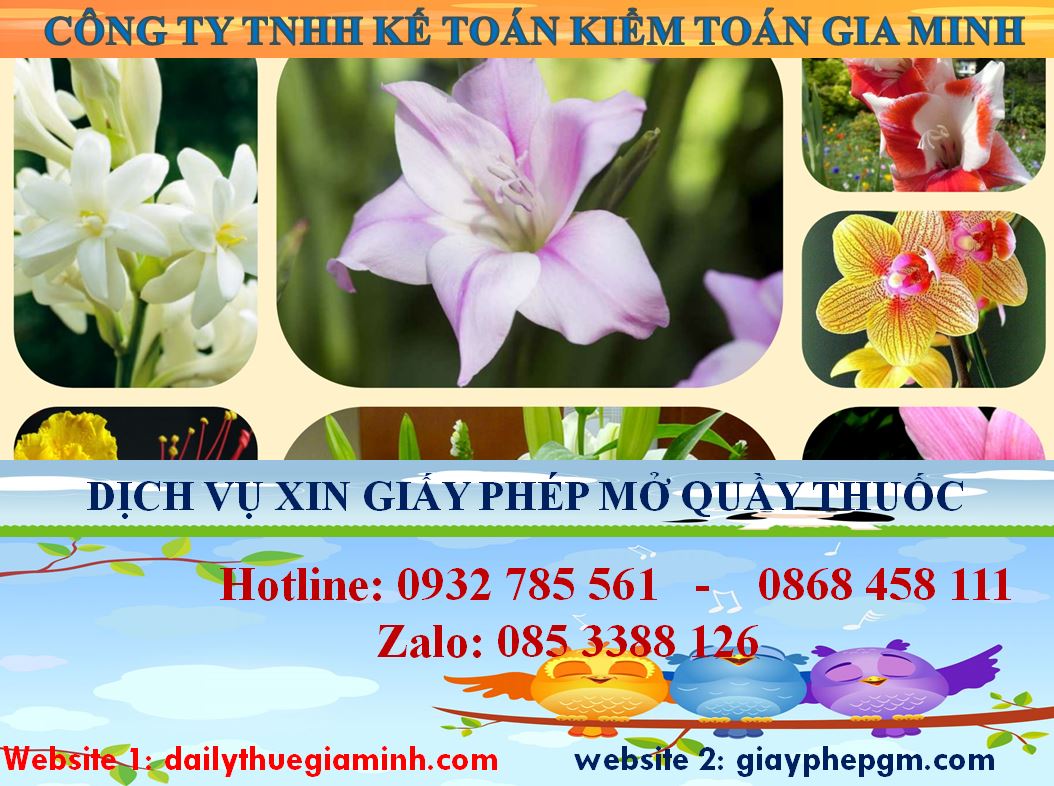Dịch vụ mở quầy thuốc tại Quận 1 4 Dịch vụ mở quầy thuốc tại Quận 1