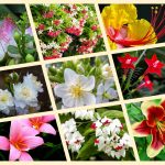 Dịch vụ mở quầy thuốc tại Quận 11 6 Muốn mở quầy thuốc tại Quận 11