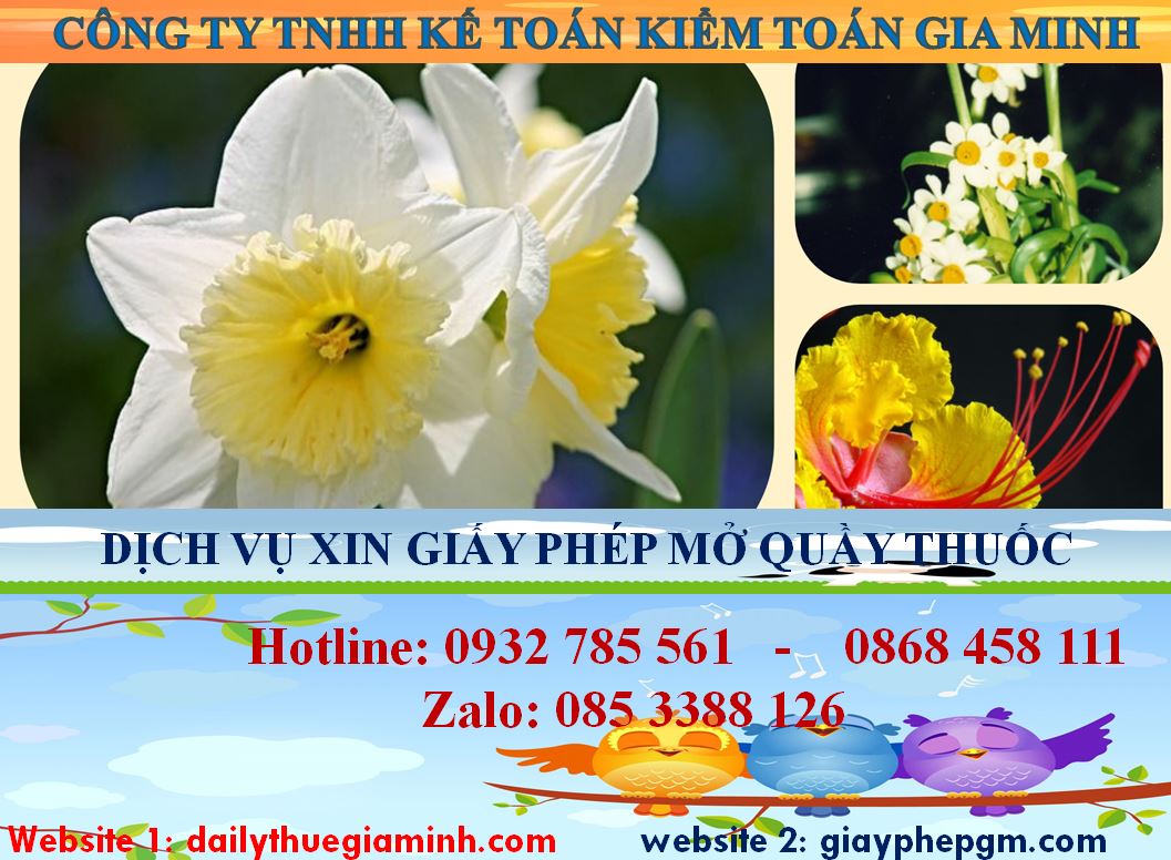 Dịch vụ mở quầy thuốc tại Quận 11 4 Chi phí mở quầy thuốc tại Quận 11