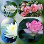 Dịch vụ mở quầy thuốc tại Quận 3 6 Muốn mở quầy thuốc tại Quận 3
