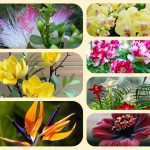 Dịch vụ mở quầy thuốc tại Thành phố Thủ Dầu Một 6 Muốn mở quầy thuốc tại Thành phố Thủ Dầu Một