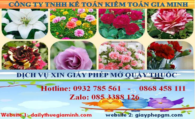 Dịch vụ mở quầy thuốc tại Thị xã Bến Cát 4 Dịch vụ mở quầy thuốc tại Thị xã Bến Cát