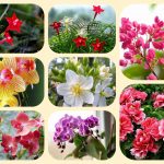 Dịch vụ mở quầy thuốc tại Thị xã Dĩ An 6 Muốn mở quầy thuốc tại Thị xã Dĩ An