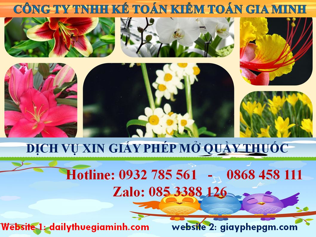 Dịch vụ mở quầy thuốc tại Thị xã Dĩ An 4 Dịch vụ mở quầy thuốc tại Thị xã Dĩ An