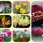 Dịch vụ mở quầy thuốc tại Thị xã Thuận An 6 Muốn mở quầy thuốc tại Thị xã Thuận An