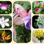 Dịch vụ mở quầy thuốc tại TP Hồ Chí Minh 6 Muốn mở quầy thuốc tại TP Hồ Chí Minh
