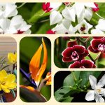 Dịch vụ mở quầy thuốc tại Vũng Tàu 6 Muốn mở quầy thuốc tại Vũng Tàu