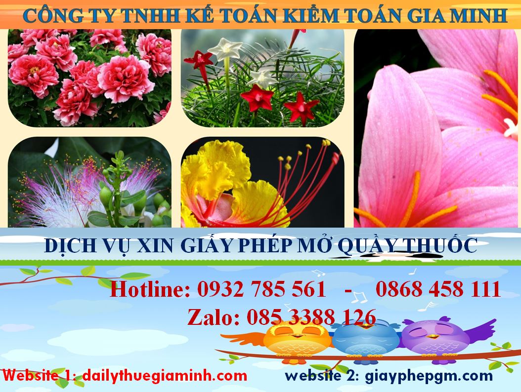 Dịch vụ mở quầy thuốc tại Vũng Tàu 4 Dịch vụ mở quầy thuốc tại Vũng Tàu