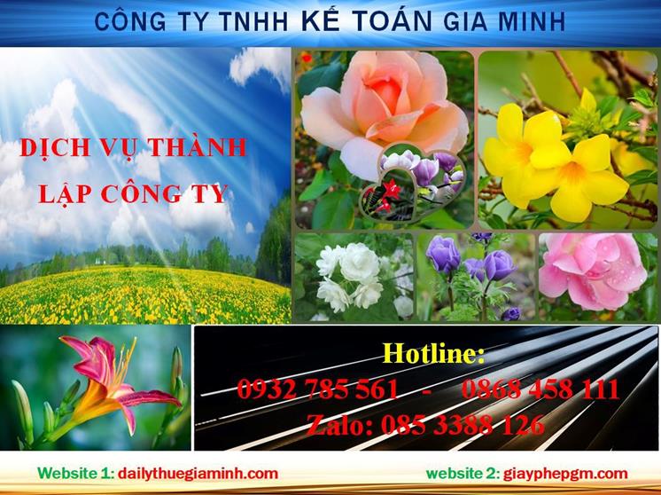 Dịch vụ thành lập chi nhánh công ty tại Quận 11 4 Thủ tục thành lập chi nhánh công ty tại Quận 11