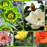 Dịch vụ thành lập chi nhánh công ty tại Quận 12 6 Cần thành lập chi nhánh công ty tại Quận 12