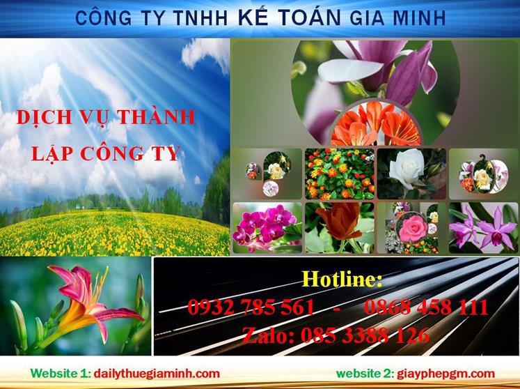 Dịch vụ thành lập chi nhánh công ty tại Quận 12 4 Thủ tục thành lập chi nhánh công ty tại Quận 12