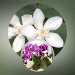 Dịch vụ thành lập chi nhánh công ty tại Quận 3 6 Cần thành lập chi nhánh công ty tại Quận 3
