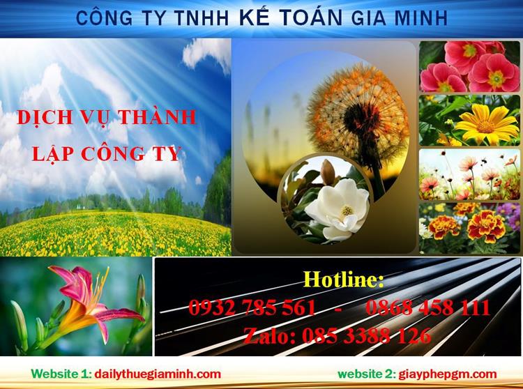 Dịch vụ thành lập chi nhánh công ty tại Quận 3 4 Thủ tục thành lập chi nhánh công ty tại Quận 3