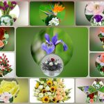 Dịch vụ thành lập chi nhánh công ty tại Quận 7 6 Cần thành lập chi nhánh công ty tại Quận 7