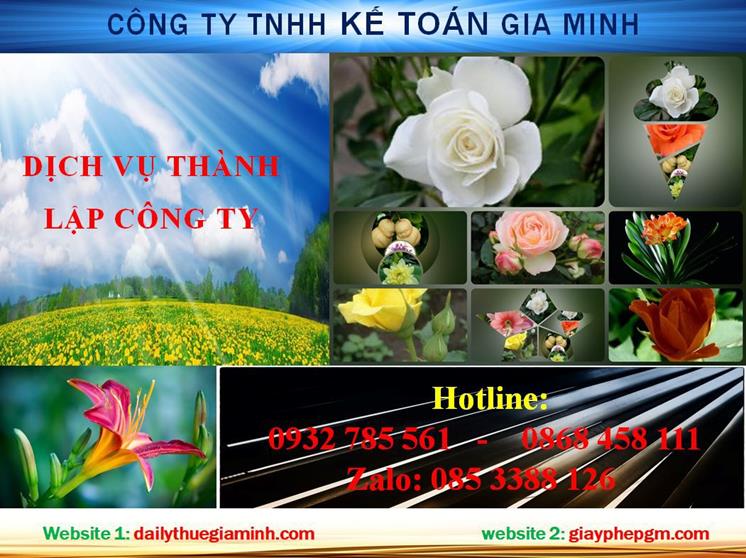 Dịch vụ thành lập chi nhánh công ty tại Quận 7 4 Thủ tục thành lập chi nhánh công ty tại Quận 7