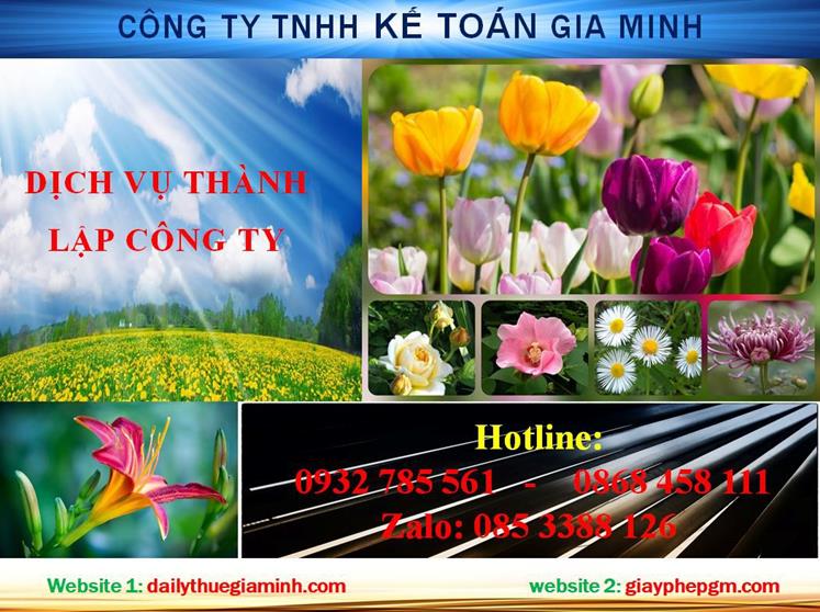 Dịch vụ thành lập chi nhánh công ty tại Quận 8 4 Thủ tục thành lập chi nhánh công ty tại Quận 8