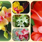 Muốn thành lập công ty cổ phần ở An Giang